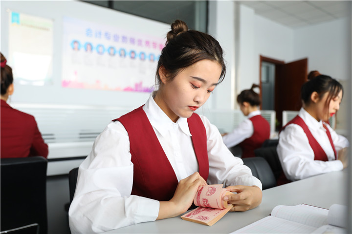 大數(shù)據(jù)與會(huì)計(jì)專業(yè)